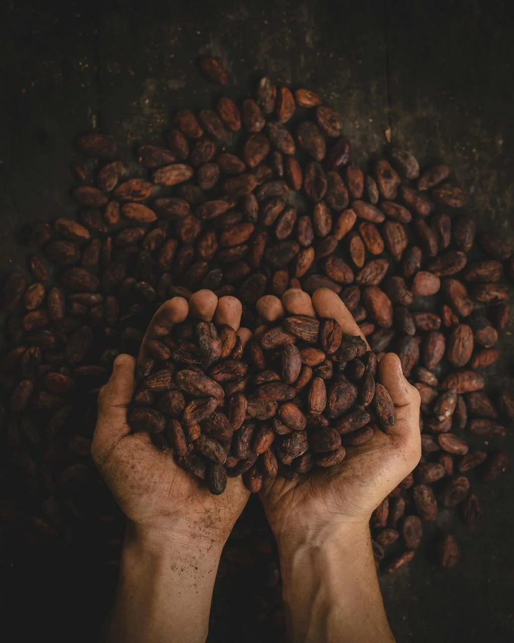 Smart Selection – Focus on High Cacao Content