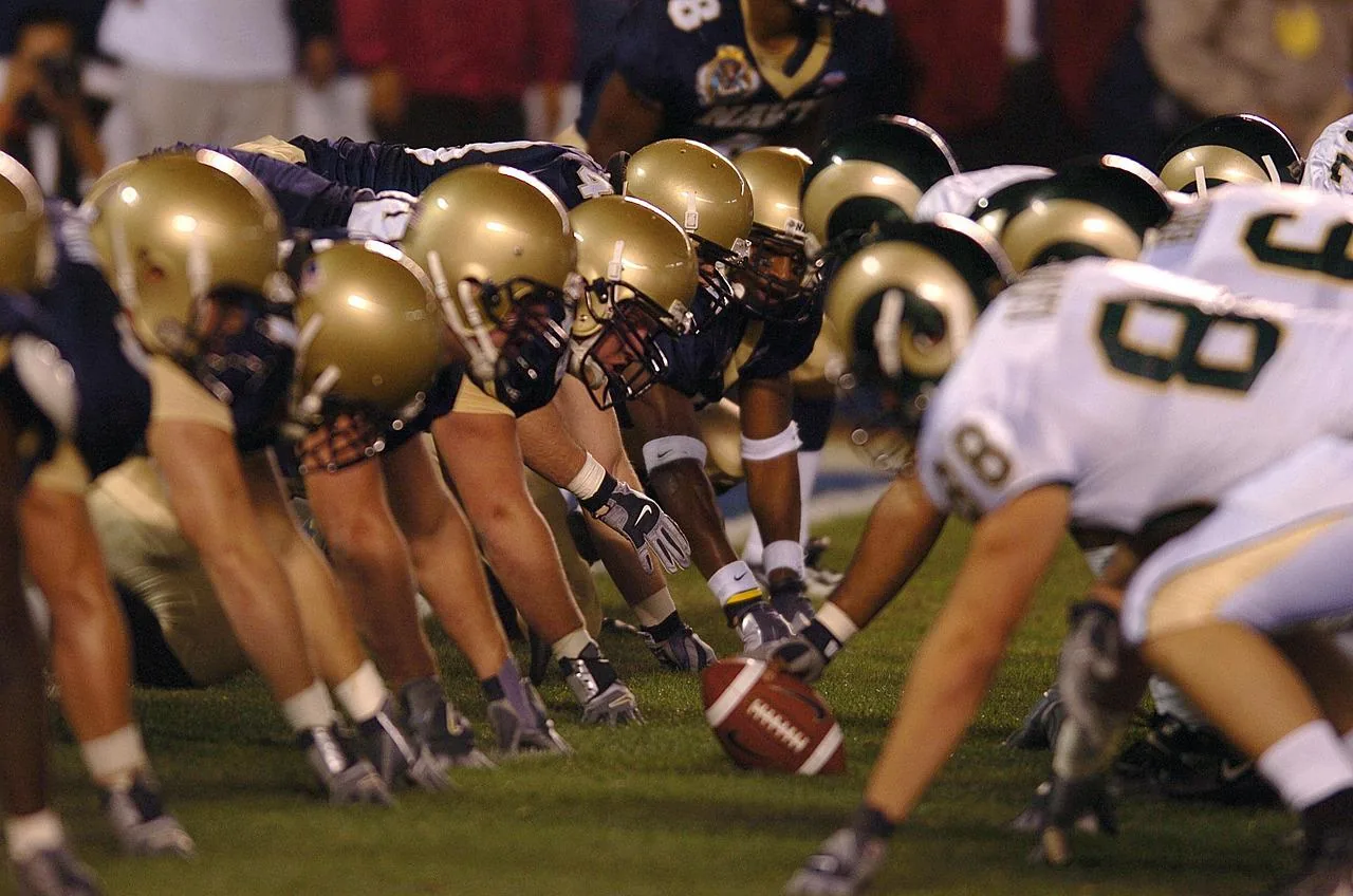 Professional Leagues: The Pinnacle of Sports Business